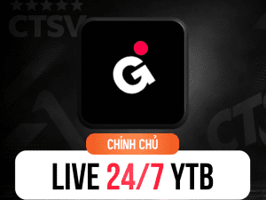 GYRE.PRO (Auto LIVESTREAM 24/7 từ video có sẵn | Đa kênh | Free 7 Ngày) | TẶNG MÃ  -15%